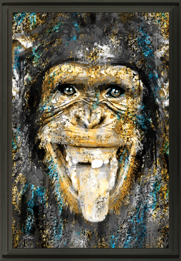 Romaric - Singe