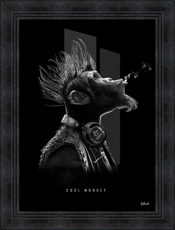Sylvain Binet - Cool Monkey