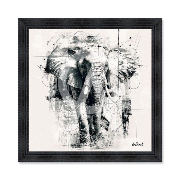 Sylvain Binet - Éléphant NB