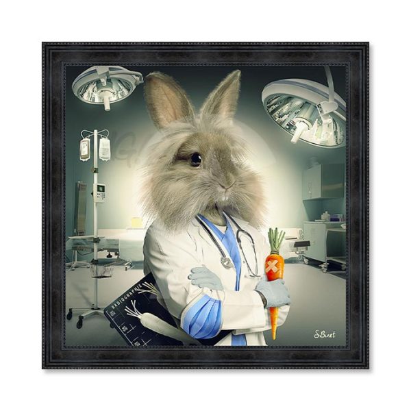 Sylvain Binet - Lapin Infirmier