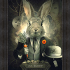 Sylvain Binet - Mr Rabbit
