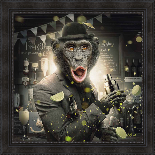 Sylvain Binet - Singe Bar