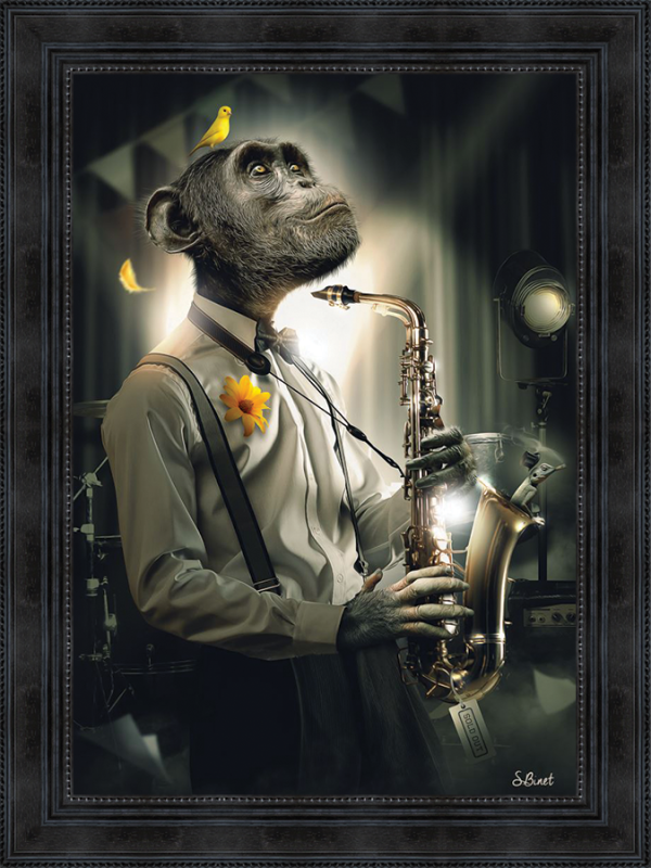 Sylvain Binet - Singe Saxo