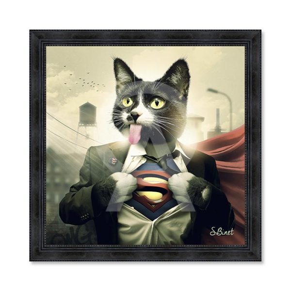 Sylvain Binet - Supercat
