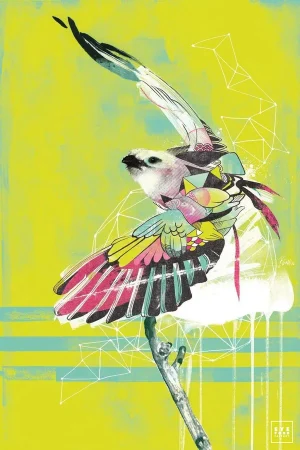 Nicolas Blind - Green Soaring