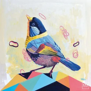 Nicolas Blind - Piou piou