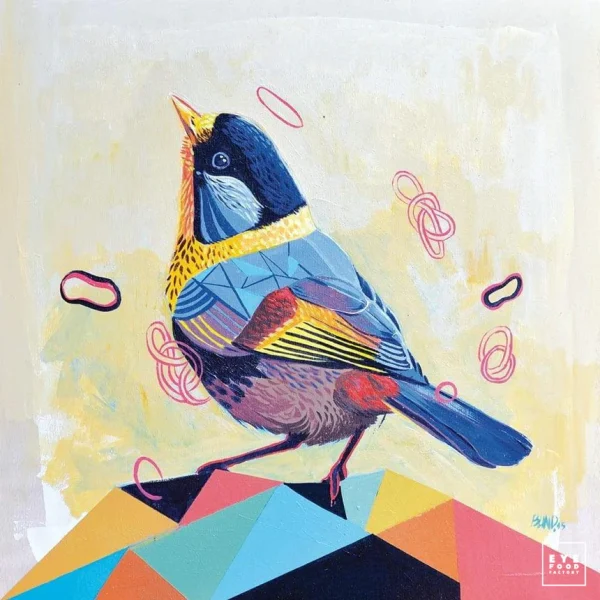 Nicolas Blind - Piou piou