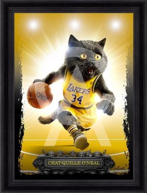 Sylvain Binet - Chat-quille O'Neal