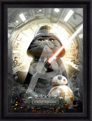 Sylvain Binet - Chat-rwars