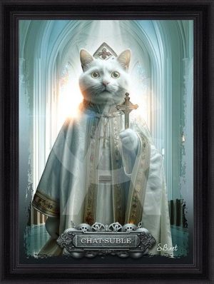 Sylvain Binet - Chat-suble