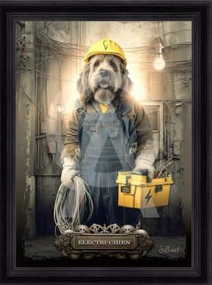 Sylvain Binet - Electri-chien