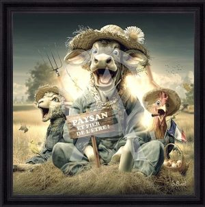 Sylvain Binet - Paysans