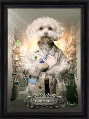 Sylvain Binet - Pharma-Chien